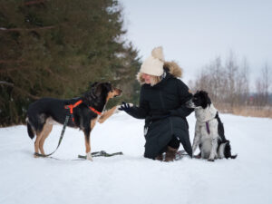 Kutsikakool, mille esimene kontakttund on 01.03.26 kell 11
