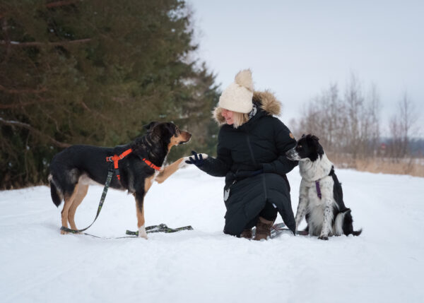 Kutsikakool, mille esimene kontakttund on 01.03.26 kell 11