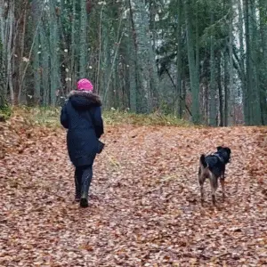 Fortem jalutamas pika lõdva rihmaga metsas.